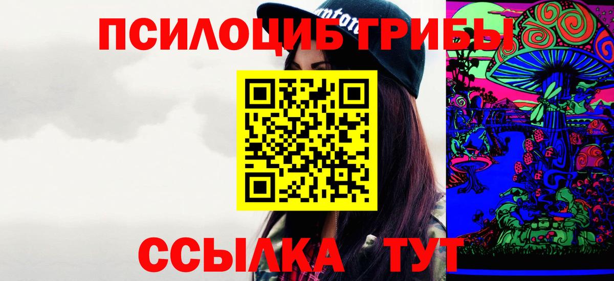 Псилоцибиновые грибы прущие грибы Кимры
