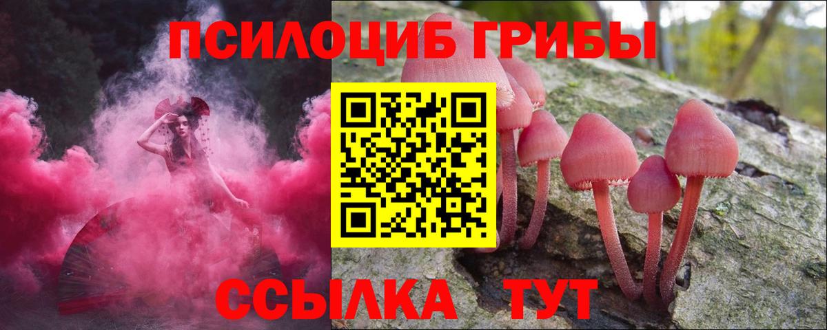 Кимры  Псилоцибиновые грибы ЛСД  Псилоцибиновые грибы Psilocybine cubensis  Вход с VPN 